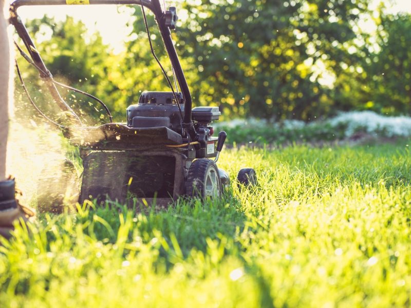 Lawn Maintenance & Mowing